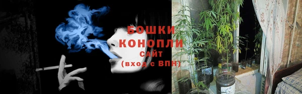 дурь Белокуриха