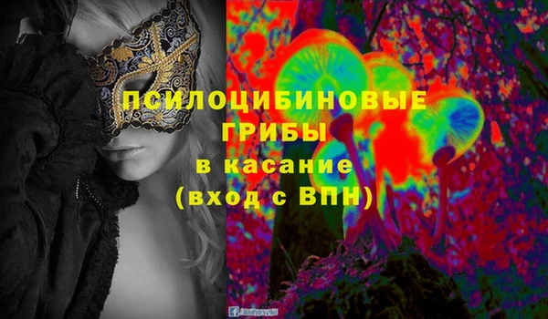 дурь Белокуриха
