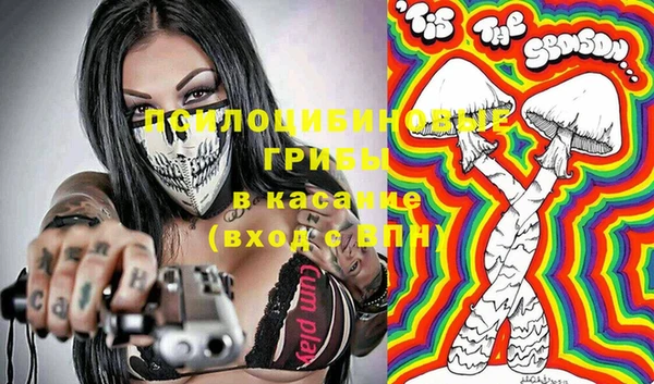 дурь Белокуриха