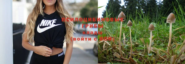 дурь Белокуриха
