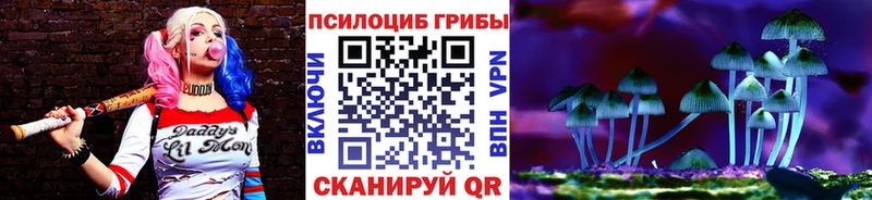 продажа наркотиков  Железноводск  Псилоцибиновые грибы ЛСД 